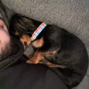 Meet your Posher, Guy